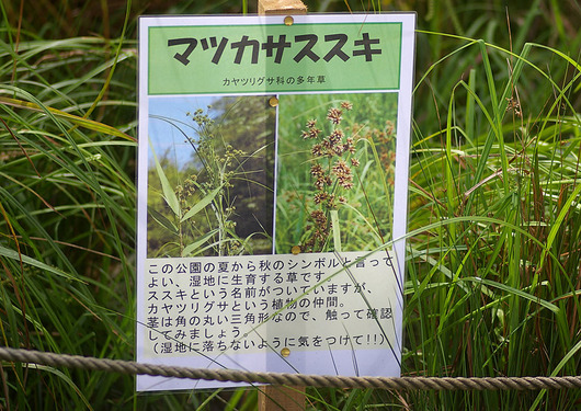 立て札