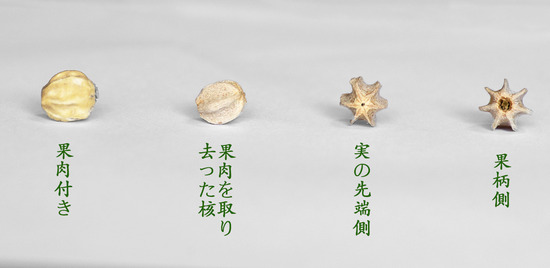 ¥»¥ó¥À¥ó¤Î³Ë