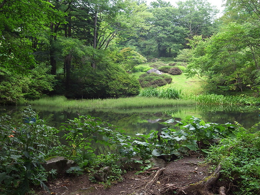 池の風景