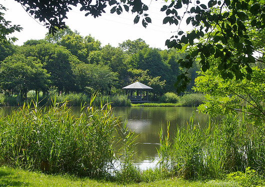 見沼公園IMGP9521