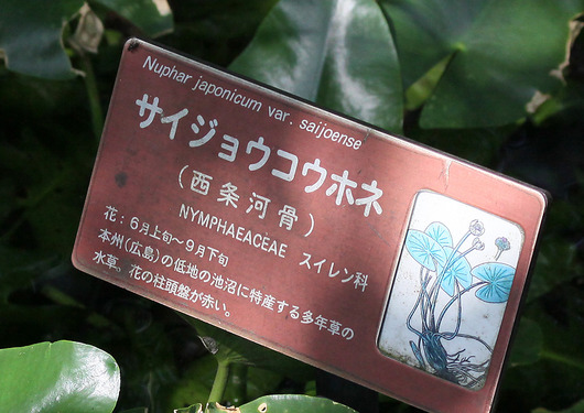ꯝ
