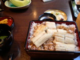 unagi-1