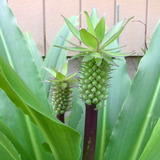 R0010195