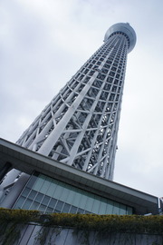 高い高い