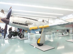 冷えん