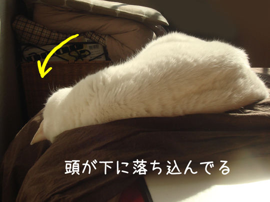 寝イッチー4