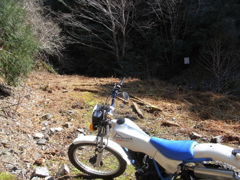RIMG0185