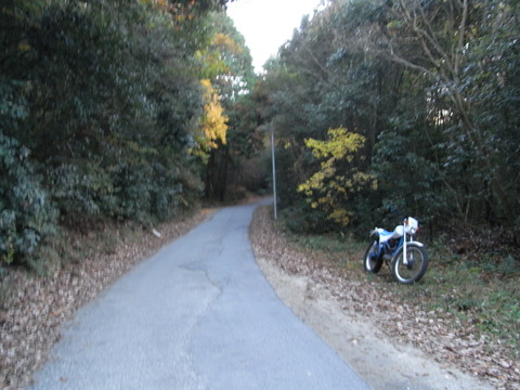 RIMG2335