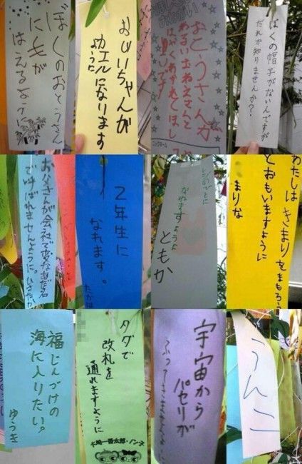 img1435990461-424x650