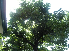 EPSN2760
