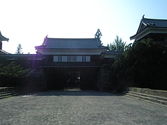 EPSN3007