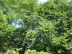 EPSN2757