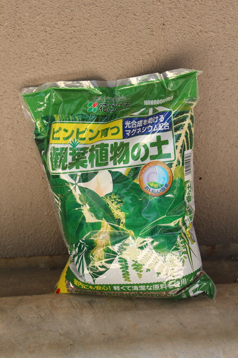 観葉植物の土