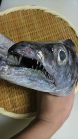 5ef3c342.jpg