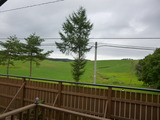 P1000931