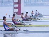 500cfe38.jpg