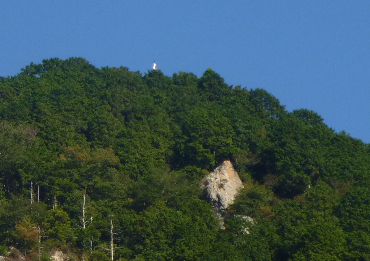 P1050188