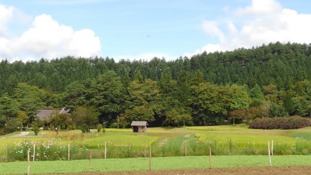 KIMG0769