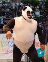 パンディータ