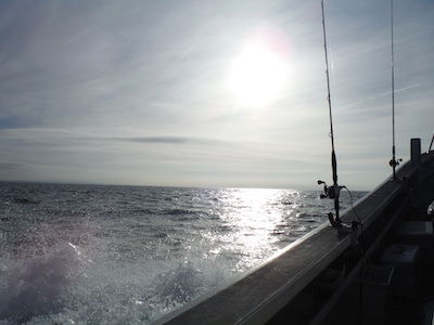 DSCF5024