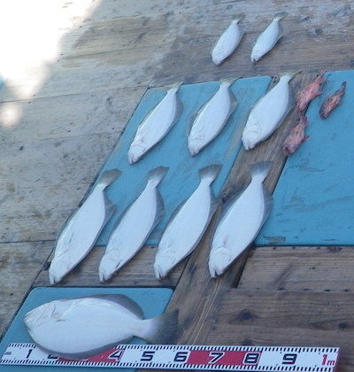 IMGP0033