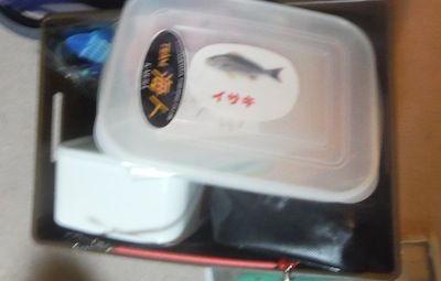 DSCF4695
