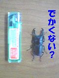 ���郎��