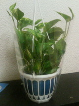 200505082254000.jpg