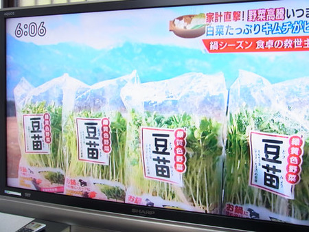テレビ画像