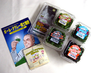 5月商品俯瞰