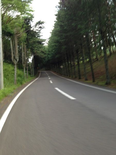 写真 2013-06-08 18 10 41