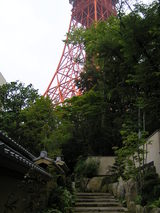 東京タワーが…