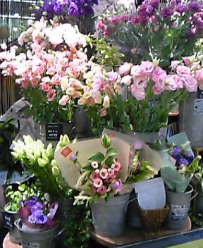 春のお花屋さん