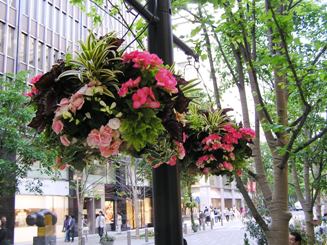 丸の内仲通り,花のプロムナード1