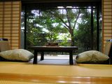 お庭には桜の大木が…