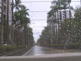 台北一きれいな道