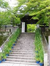 修善寺の階段