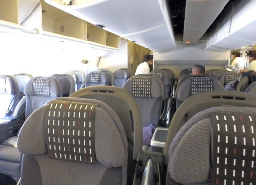 JAL31便機内