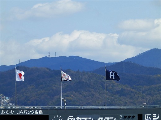 日の丸 優勝旗 カープの旗