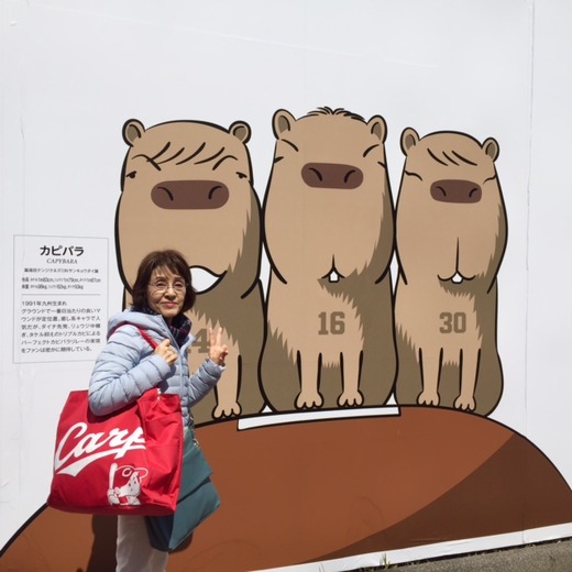 カピバラ3兄弟と私