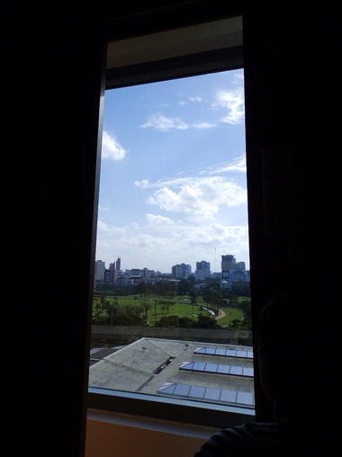 窓から