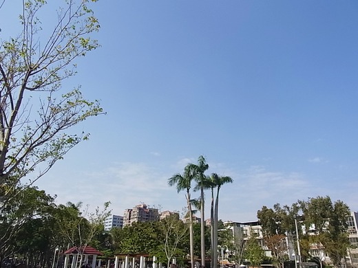 微熱山丘と虎屋の間の公園