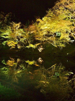 高台寺池