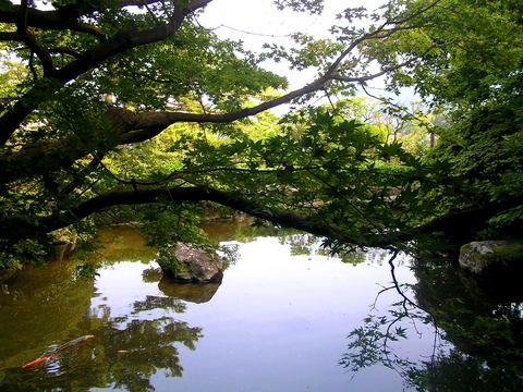 大観荘 見事なお庭
