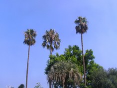 夏の熱海!