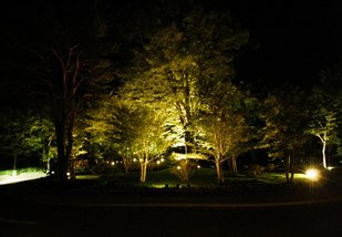 夜のお庭
