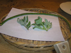 山菜の