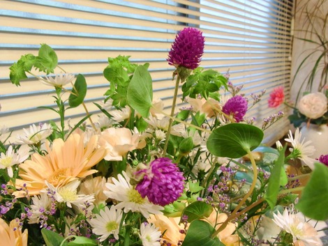 お花