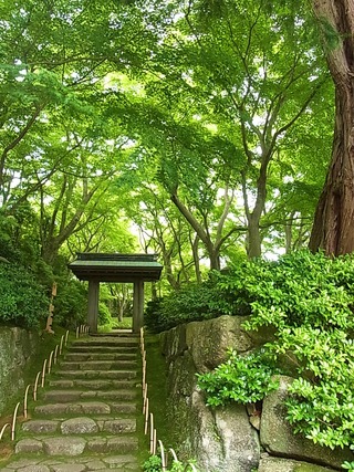 日本庭園、お茶室入り口