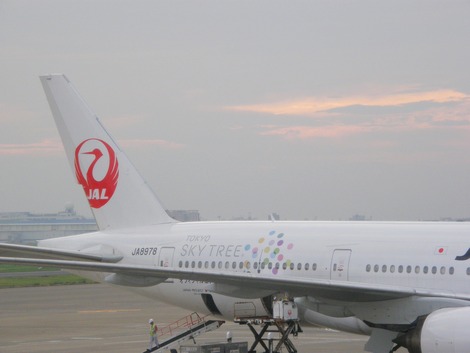 スカイツリー塗装